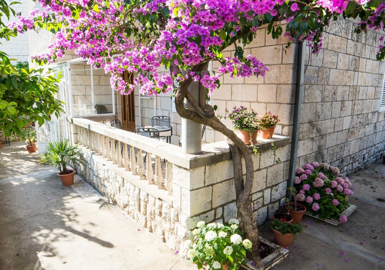 Apartments Bungevilla Dubrovník Exteriér fotografie